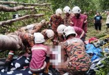 முகாமில் மரம் சரிந்து பெண் உயிரிழப்பு