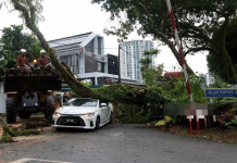 தலைநகரில் புயலுடன் கூடிய கனமழை; சாலையில் வேரோடு சாய்ந்த மரங்களால் போக்குவரத்து நெரிசல்