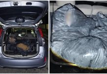 காரில் இறந்த புலியுடன் வந்த வேட்டைக்காரர்கள் மூவர் கைது