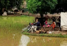 பாகிஸ்தானில் தொடர் மழை, வெள்ளம்; பலி எண்ணிக்கை 1006 ஆக உயர்வு