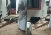 தெருநாய் கடி தொடர்பாக விழிப்புணர்வு நிகழ்ச்சி நடத்தியவரை கடித்த தெருநாய்