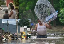 மெக்சிகோவில் கனமழை, வெள்ளம்: 28 பேர் பலி