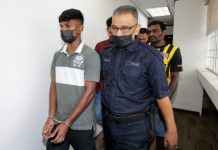 Pukul anjing sampai mati – Mekanik didenda RM20,000