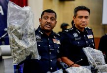 ஐரோப்பாவுக்கு RM5.9 மில்லியன் மதிப்புள்ள கஞ்சாவுடன் சென்ற போதைப்பொருள் கும்பல் கைது