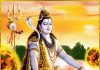 சிவபெருமானின் அன்பை பெற்றுத்தரும் பொருட்கள் எவை