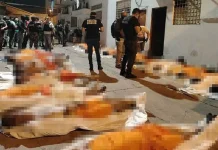 ஈக்வடார் சிறைச்சாலையில் ஏற்பட்ட கலவரத்தில் 31 பேர் உயிரிழப்பு