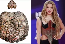 1.3 கோடி ஆண்டு பழமையான ஆமையின் புதைபடிவத்துக்கு ராப் பாடகி ஷகிராவின் பெயர் சூட்டல்