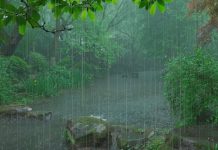 நாட்டின் மூன்று மாநிலங்களில் அதிகாலை 1 மணி வரை இடியுடன் கூடிய மழை – மெட்மலேசியா எச்சரிக்கை