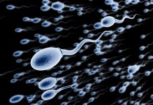 கருவுறுதல் பிரச்சினைகள் கிட்டத்தட்ட பாதி ஆண்களும் காரணம் என்கிறார் நிபுணர்