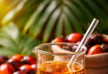 உரிமமின்றி பாமாயில் கடத்திய படகு பறிமுதல்