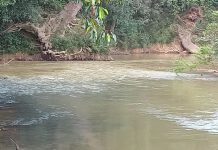 நீரில் அடித்து சென்ற மகனை காப்பாற்றிய தந்தை மூழ்கியதாக அஞ்சப்படுகிறது