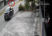 தெரு நாயைக் கொன்றதாக ஆடவர் கைது