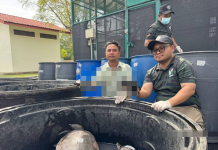 பினாங்கில் உரிமமின்றி 100 ஆமைகளை வளர்த்த வங்காளதேச நபர் கைது – 20,000 ரிங்கிட் மதிப்புள்ள உயிரினங்கள் மீட்பு!