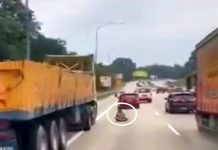 அதிவேக நெடுஞ்சாலையின் நடுவே அமர்ந்து அட்டகாசம்: டிரெய்லர் ஓட்டுநர் மீது போலீசார் விசாரணை!