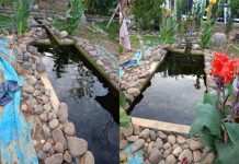 மீன் குட்டையில் விழுந்து 4 வயதுச் சிறுவன் பரிதாபமாக உயிரிழப்பு!