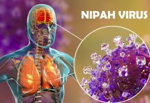 மலேசியா நிபா வைரஸிலிருந்து விடுபட்டுள்ளது