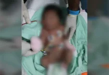 குப்பைத் தொட்டியில் வீசப்பட்ட பெண் சிசு – உயிருடன் கண்டெடுக்கப்பட்டது; அம்பாங்கில் சம்பவம்