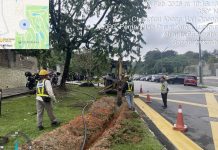 தெரேசா கோக்கின் கார் உடைப்பின் எதிரொலி ;புக்கிட் கியாரா பூங்காவில் CCTV கேமராக்கள் நிறுவப்படுகிறது!