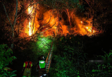 புஞ்சாக் ஜாலில் காட்டுத்தீ: 2 ஹெக்டேர் பரப்பிற்கு பரவல்; குடியிருப்புகளைக் காக்கத் தீயணைப்புத் துறை தீவிரம்!