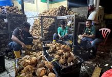 நோன்புப்பெருநாளை முன்னிட்டு தேங்காய்ப்பாலுக்கான தேவை அதிகரிப்பு!
