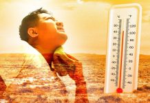 கடும் வெப்ப அலை: உயிருக்கு ஆபத்தான ‘வெப்பத்தாக்கு’ (Heatstroke) ஏற்படும் என நிபுணர்கள் எச்சரிக்கை!