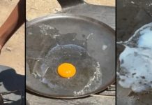 மிரளவைக்கும் 38°C வெப்பம்!-அடுப்பு தேவையில்லை.. வெயிலே போதும்! கெடாவில் வைரலாகும் ‘சூரிய வெப்ப சமையல்’