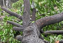 மின்சாரம் தாக்கி உயிரிழந்த தொழிலாளி