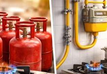 ரூ.12,500 கோடியில் குழாய் வழியாக எல்.பி.ஜி. வினியோக திட்டம்: ஆயத்த பணிகள் தீவிரம்