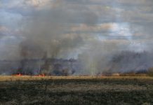 கிளந்தானில் திறந்தவெளித் தீயிடல் வழக்குகள் அதிகரித்துள்ள நிலையில், பச்சோக் முதலிடம்