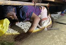 டாபோங் நீர்மின் திட்ட கட்டுமான தளத்தில் அதிரடிச் சோதனை: 114 சட்டவிரோதக் குடியேறிகள் கைது!