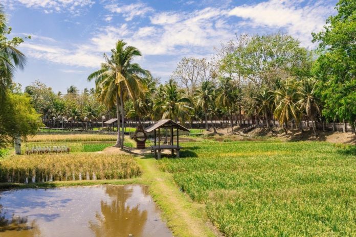 image - 2026-04-03T204747.615