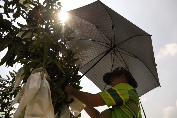 image - 2026-04-05T110521.370