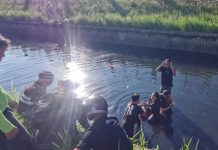 வெள்ள நீர் வடிகாலில் கார் பாய்ந்து விபத்து: உயிரைப் பணயம் வைத்து பெண் மருத்துவரை மீட்ட 4 நாயகர்கள்!