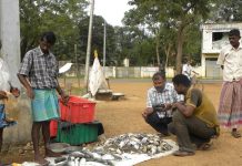 இலங்கை மக்களுக்கு $320 மில்லியன் டாலர் நிவாரணம் ! மீனவர்கள், விவசாயிகளுக்கு நேரடி ரொக்க உதவி – அதிபர் அநுர குமார திசாநாயக்க அதிரடி