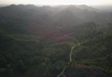 இந்தோனேசியாவின் அடர்ந்த காட்டில் விழுந்து நொறுங்கிய ஹெலிகாப்டர் – 8 பேர் பலி!