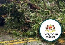 காஜாங்கில் விழுந்த மரத்தை அகற்றும்போது மின்சாரம் பாய்ந்து தொழிலாளி பரிதாப பலி!