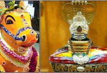 பிரதோஷம் : எந்த கிழமைக்கு என்ன பலன்