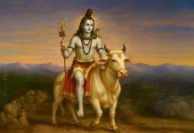 பிரதோஷத்தில் ஈசனின் அபிஷேக ஆராதனைகளைப் பார்த்தால் என்ன பலன் ?