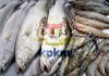 சீகாப் மீன் மற்றும் இறால் இறக்குமதித் தடை: தீர்வு காண மலேசியா – தாய்லாந்து கூட்டு நடவடிக்கை!