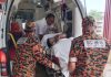 காட்டுக்காளான் சாப்பிட்ட தம்பதிக்குக் கடுமையான நச்சு பாதிப்பு: சிக்கில் பரபரப்பு!