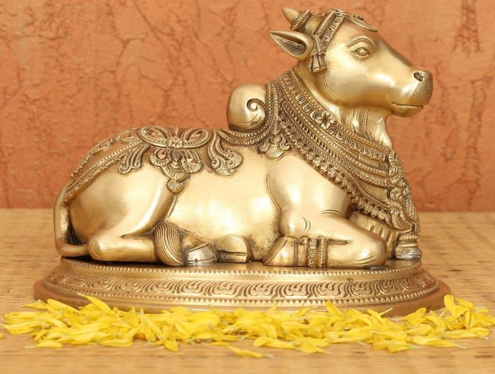 nandi.1