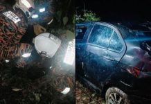 குட்டி யானை மீது பள்ளத்தில் விழுந்த கார்; வாகனமோட்டி காயம்
