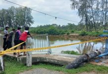 தூக்கக் கலக்கத்தில் சென்றபோது ஆற்றில் விழுந்த கார்; உயிர் தப்பிய 16 வயது மாணவர்