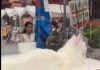 கோலாலம்பூர் சந்தையில் பிளாஸ்டிக் பெட்டிகளில் அடைக்கப்பட்ட பூனைகள்: இணையத்தில் குவியும் கண்டனங்கள்!