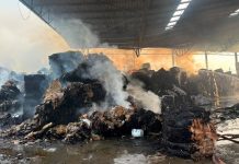 ஷா ஆலம் காகித ஆலை தீ விபத்து: 50 வெளிநாட்டுத் தொழிலாளர்கள் நல்வாய்ப்பாகத் உயிர் தப்பினர்!