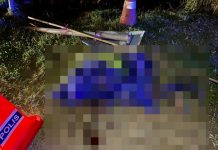 நெகிரி செம்பிலான் தேர்தல்: பிரச்சாரக் கொடி கட்டிய இளைஞர் லோரி மோதிப் பலி! விபத்தை ஏற்படுத்திவிட்டுத் தப்பியோடிய டிரைவருக்கு வலைவீச்சு