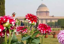 3 லட்சம் ரோஹிங்கியா அகதிகளை ஏற்க தயார் – மியான்மர் அறிவிப்பு…