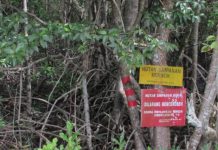 சுங்கை மெர்போக் சதுப்புநிலக் காட்டில் குப்பை கொட்டும் பிரச்சனை: நடவடிக்கை எடுக்க CAP வலியுறுத்தல்