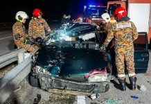 விரைவுச்சாலையில் பசு மீது கார் மோதி விபத்து – ஆடவர் பரிதாப பலி!