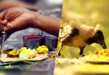 ஆவணி அமாவாசை சிறப்புகள்